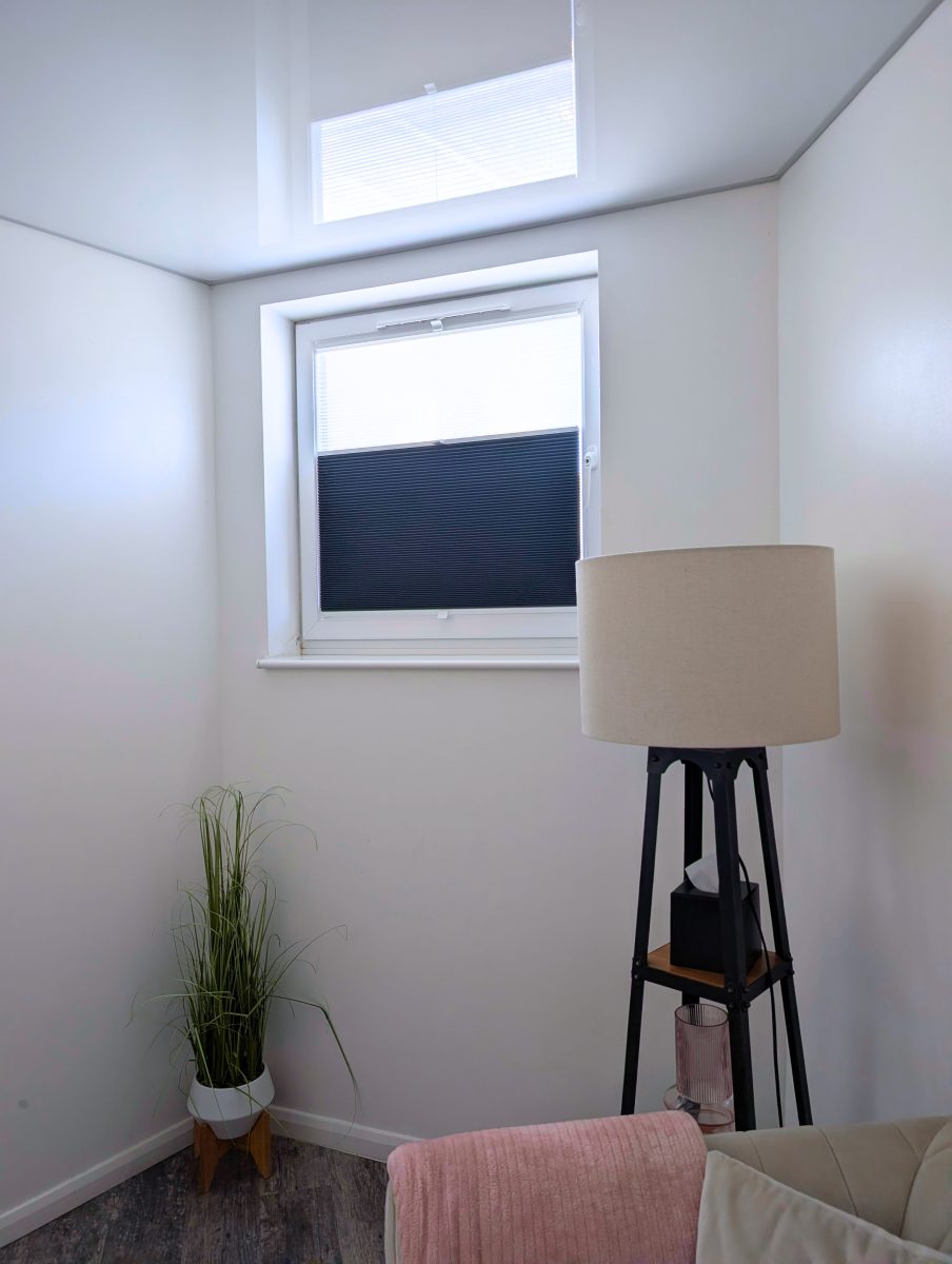 Pleated Perfect Fit Blinds